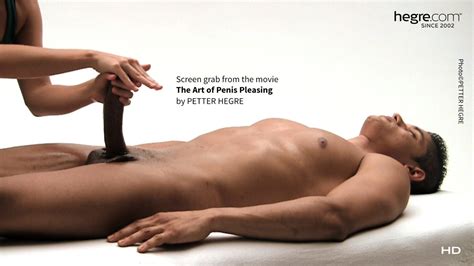 The Art Of Penis Pleasing