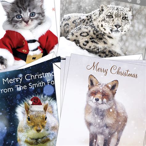 Christmas Cards Animals Pack Of 10 Dandl Designs