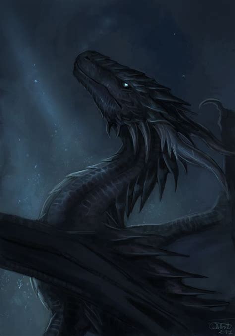 Dragon Noir