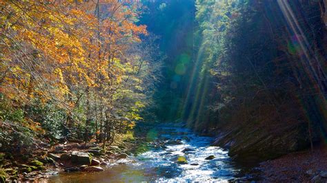The Best Great Smoky Mountains National Park Vacation