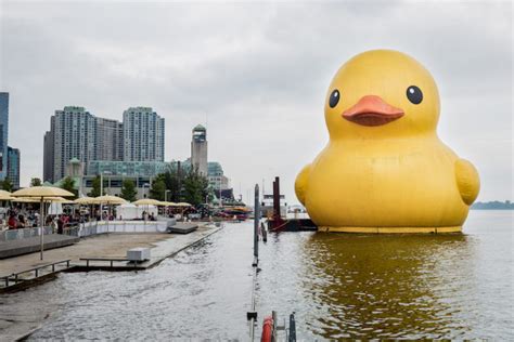 The Worlds Largest Rubber Duck Has Arrived In Toronto