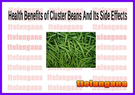 Health Benefits Of Cluster Beans And Their Side Effects