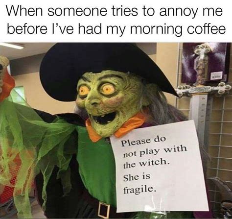 pin by c j crandall on witchy woman funny pictures funny pictures fails witch meme