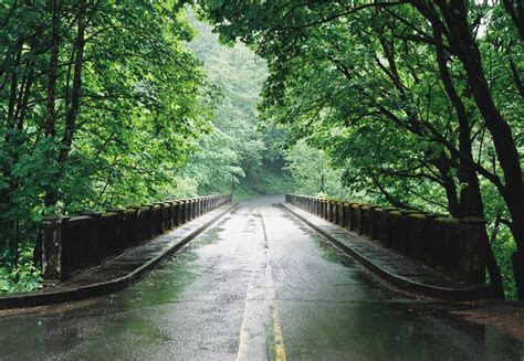 Free Rainy Bridge Stock Photo