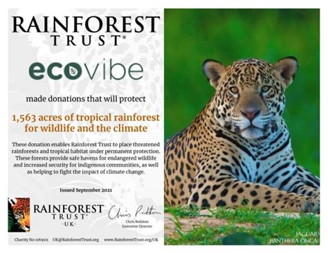 Ecovibe Saves 1500 Acres Of Threatened Rainforest Natural Products