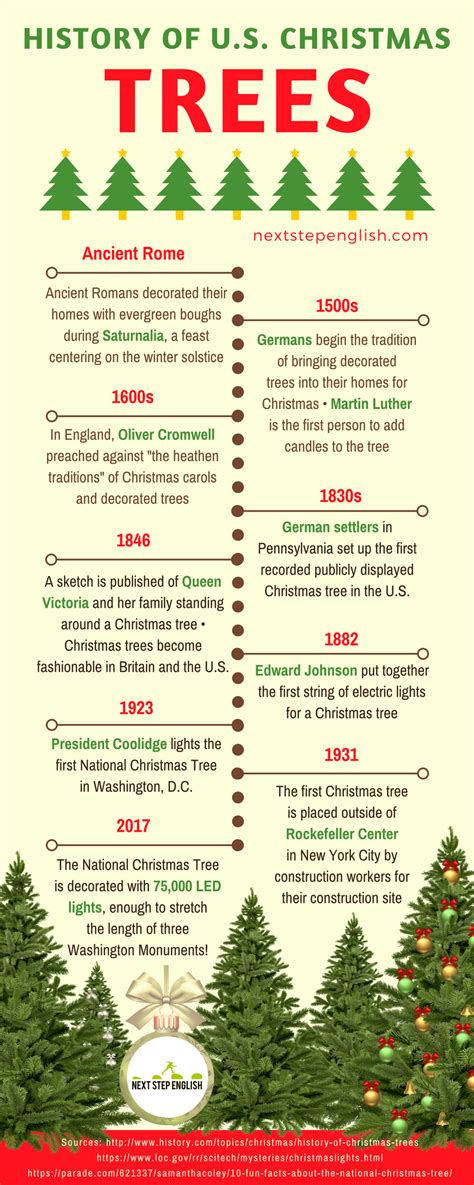 Christmas Tree History With Timeline Infographic Christmas