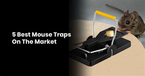 Best Mouse Traps Dear Adam Smith