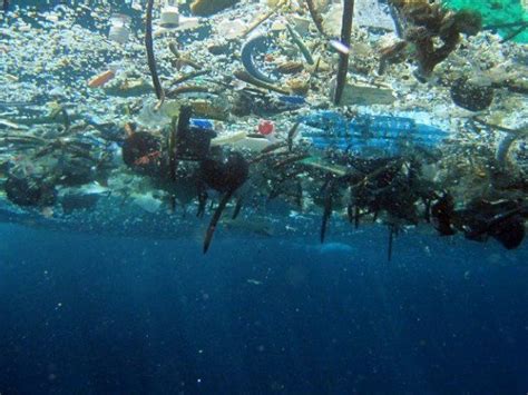 Trash Islands Off Central America Indicate Ocean Pollution Problem