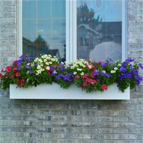 Check spelling or type a new query. Window Box Ideas - 100s of Photos of Window Boxes