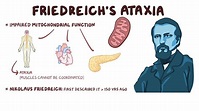 Friedreich ataxia: Video, Anatomy & Definition | Osmosis