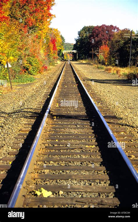 Railroad Tracks In Autumn Stock Photo Alamy