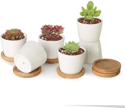 25 Inch Small White Succulent Planter Pots With Bamboo Tray Round Set