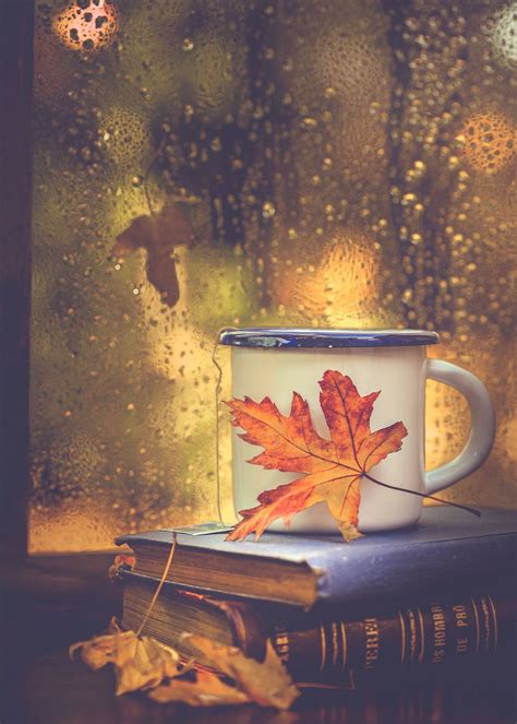 Autumn Books Wallpapers Top Free Autumn Books Backgrounds