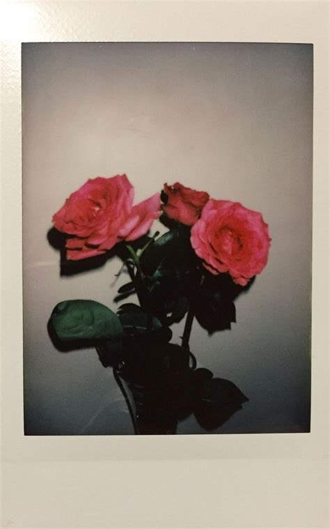 Pin By Enie Friday On Vintage Polaroid Pictures Photography Poloroid Pictures Aesthetic