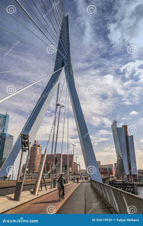 Rotterdam Bridge De Erasmusbrug Editorial Photography Image Of