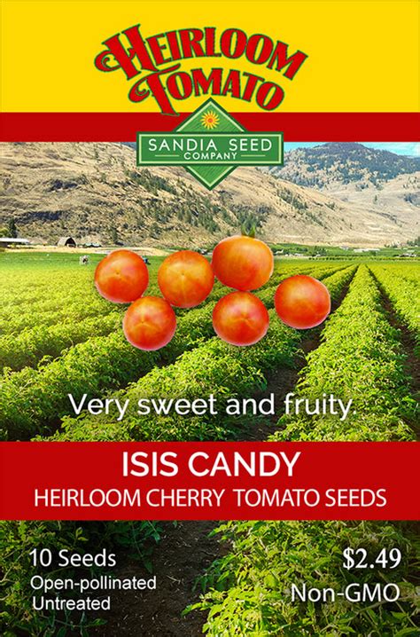 Tomato Isis Candy Heirloom Seeds Sandia Seed Company