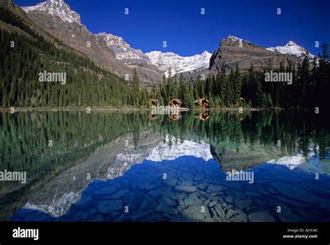 Lake O Hara Yoho National Park British Columbia Canada Stock Photo Alamy