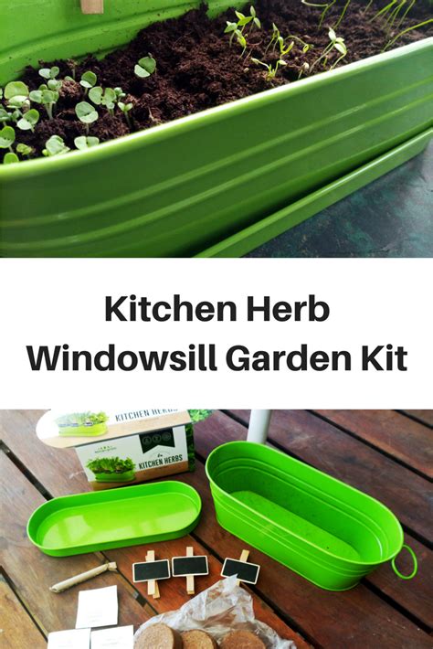 Once you know the basics, you can incorporate them into almost any meal. Kitchen Herb Windowsill Garden Kit Review