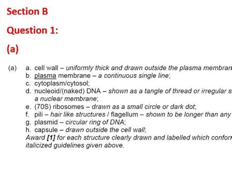 Topics covered include cells, genetics, evolution, classification, biological processes and systems, and environmental systems. IB Biology Unit 1 Review Test Answer Key | Teaching Resources