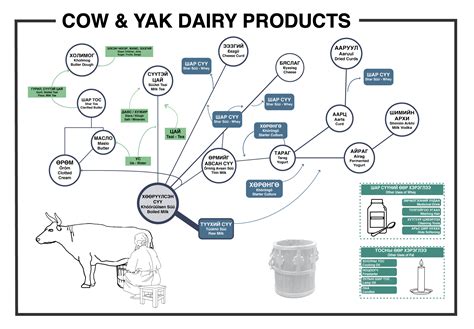 Dairy Products Infographic 1 Cow And Yak
