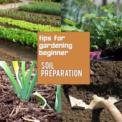 How To Prepare Soil For Gardening 101 Gardening Ideas Healthy