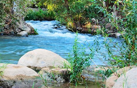 Jordan River Pictures Images And Stock Photos Istock