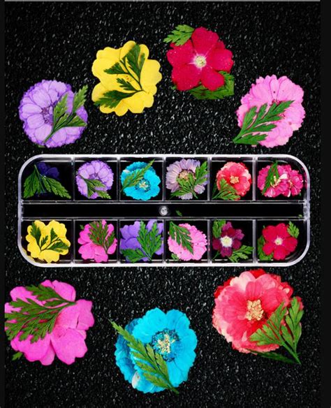 Because everybody loves flowers, these gorgeous nail art designs are perennial. 30 colors Nail Dried Flower Nail Art Decoration Real Dry ...