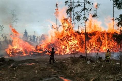 KLHK Gugat Perusahaan Pembakar Hutan Dan Lahan Rp Triliun