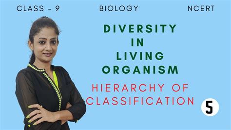 The Hierarchy Of Classification Diversity In Living Organisms Class