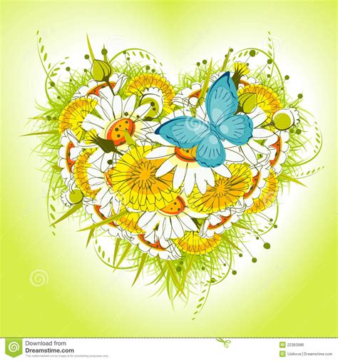 Flower Heart Of Daisies And Dandelion Stock Vector Illustration Of