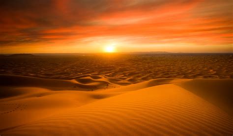 √ Sahara Desert Temperature Today