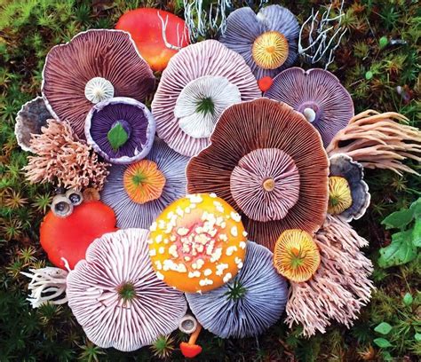 Pin By Teal Herself On Backdrops Stuffed Mushrooms Mushroom Art