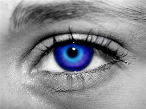 عيون زرقاء اجمل واحلي عيون زرقاء لن تشاهدها من قبل المميز