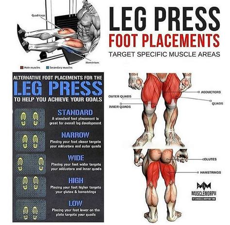 What Is The Best Exercise To Replace A Leg Press Exercise Poster