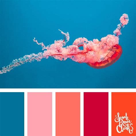 Vibrant Jellyfish Color Scheme Explore The Beautiful Colors Of The