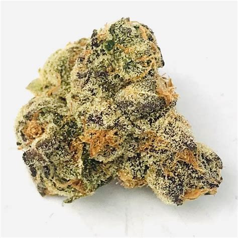 Known for its insanely delicious and fruity flavor, malibu pie is perfect for any indica lover who appreciates a great taste with their toke, too. Pie Crust by Grow West - Maryland Cannabis Reviews