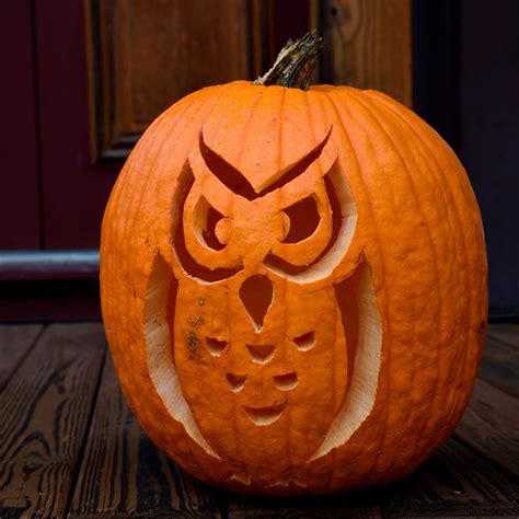 Owl Pumpkin Carving Ideas Stencils