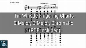 Comprehensive Tin Whistle Chart Youtube