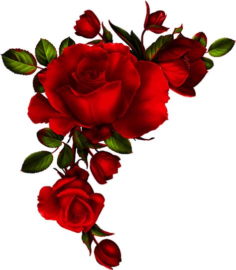 Roses 2 Page Red Roses Watercolor Png Free Transparent Png