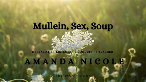Mullein Sex And Soup Youtube