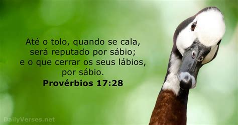 O Sabio Aprende Com Os Erro Dos Outros Versiculo