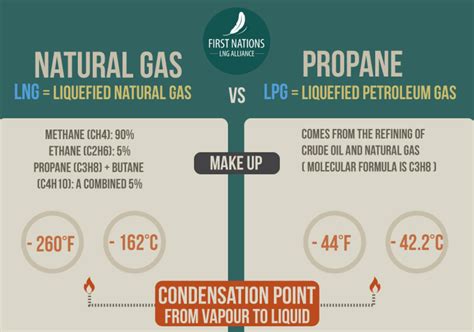 Can I Use Propane On A Natural Gas Grill Nature Leaf Kitchen