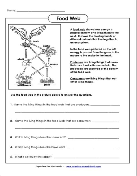 Food Chain Worksheet For Grade 4