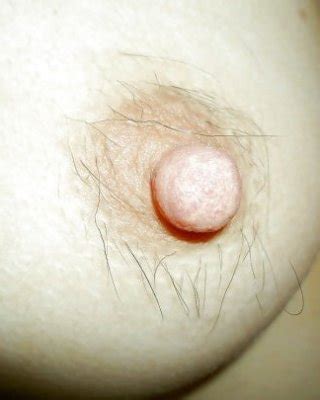 Tuesday Treasure Trails Hairy Tits Spread Pussy Porn Pictures Xxx