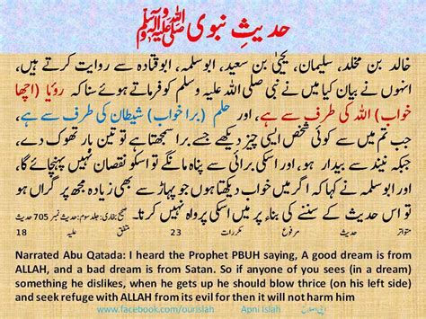 Why Islam Ahadith Prophet Muhammad S Pbuh Sayings Urdu English