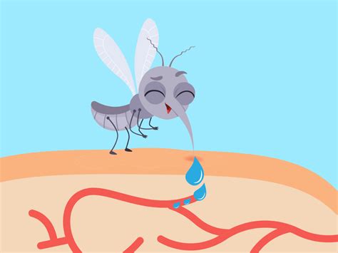 Why Do Mosquito Bites Itch Here Is The Science Behind It