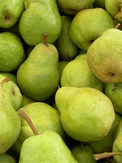Fileorganic Bartlett Pears Wikimedia Commons