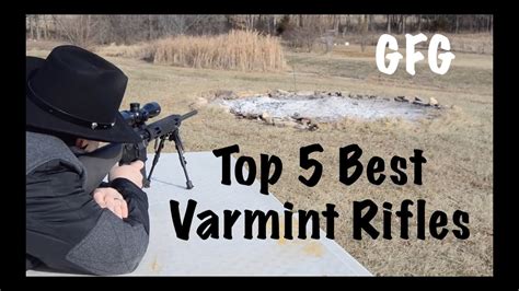 Top 5 Best Varmint Rifles Youtube