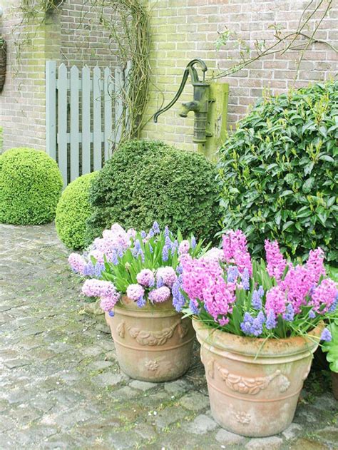 Gorgeous Spring Container Gardens Better Homes And Gardens