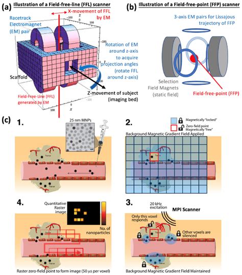 Physical Mechanisms Underlying How Magnetic Particle Imaging Mpi